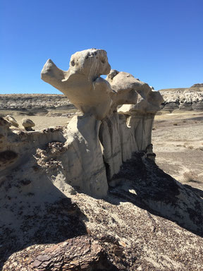 Bisti Badlands