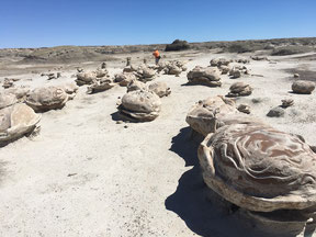 Bisti Badlands