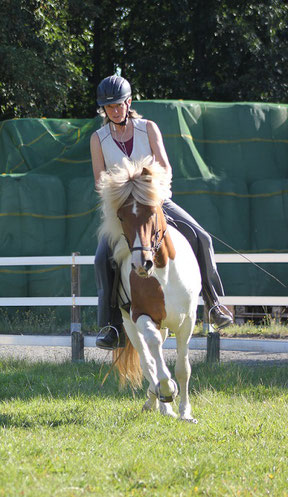 Marketing information for a book on horsetraining: author bio, search keywords, ToC, and a book description
