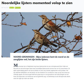 Ommelander Courant 07-11-2024
