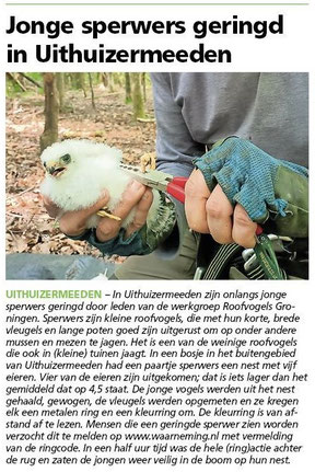 Ommelander Courant 19-06-2025