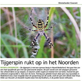 Ommelander Courant 26-08-2021