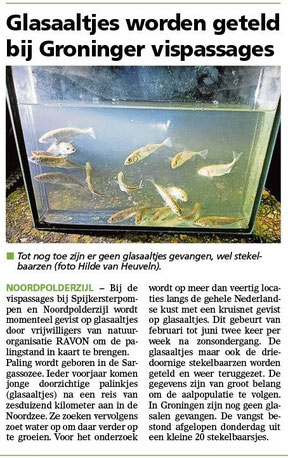 Ommelander Courant 19-02-2024