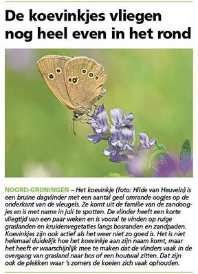 Ommelander Courant 24-07-2025