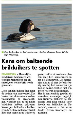 Ommelander Courant 13-02-2025