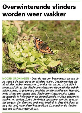 Ommelander Courant 20-03-2025
