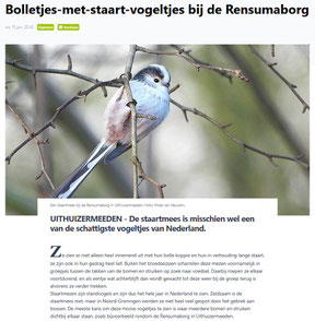 Ommelander Courant 16-01-2025