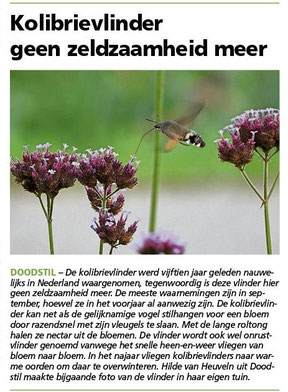 Ommelander Courant 19-09-2022