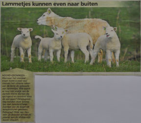 Ommelander Courant 25-03-2021