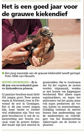 Ommelander Courant 10-08-2023