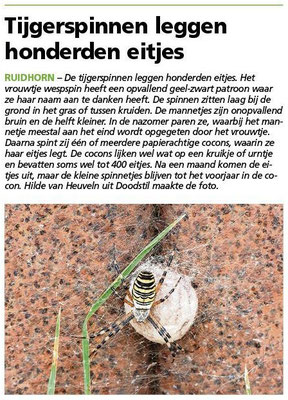 Ommelander Courant 26-09-2024
