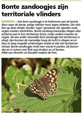 Ommelander Courant 24-04-2025