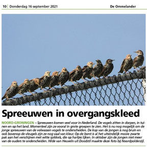 Ommelander Courant 16-09-2021