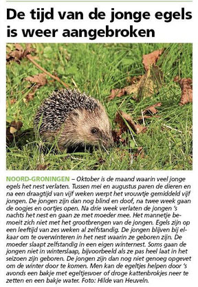Ommelander Courant 17-10-2024