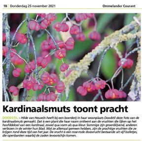 Ommelander Courant 25-11-2021