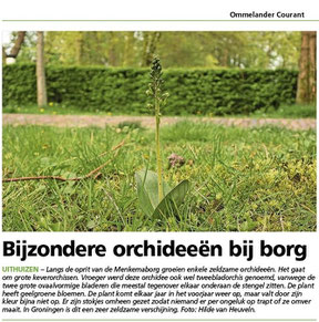 Ommelander Courant 17-05-2023