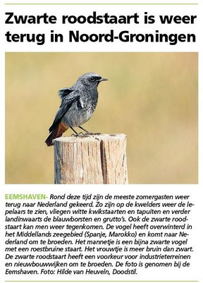 Ommelander Courant 21-04-2022