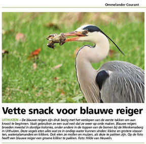 Ommelander Courant 12-02-2024