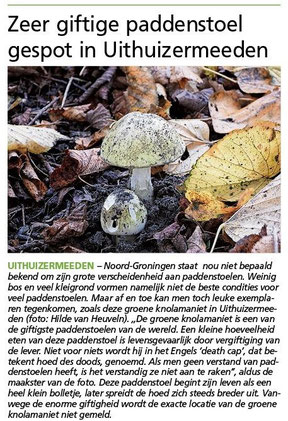 Ommelander Courant 08-11-2021