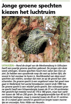 Ommelander Courant 29-06-2023