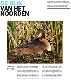 Dagblad van het Noorden 13-05-2023