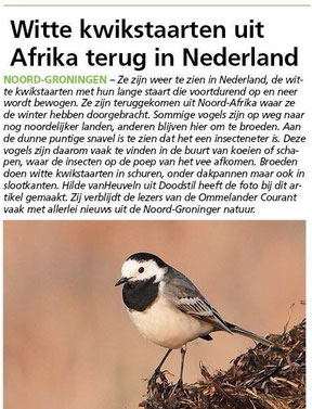 Ommelander Courant 06-03-2025