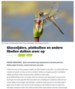 Ommelander Courant 26-06-2025