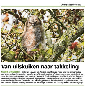 Ommelander Courant 08-05-2024