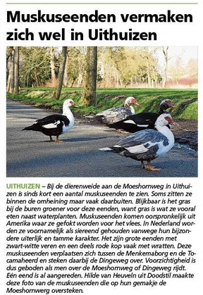 Ommelander Courant 06-03-2023