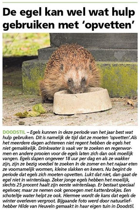 Ommelander Courant 04-09-2023