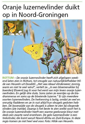 Ommelander Courant 22-08-2024