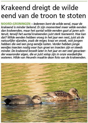 Ommelander Courant 05-01-2023