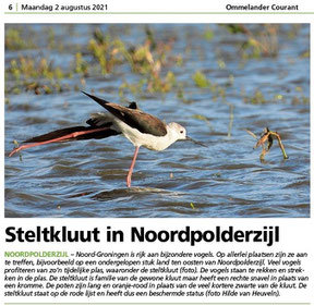 Ommelander Courant 02-08-2021