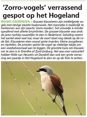 Ommelander Courant 12-06-2025