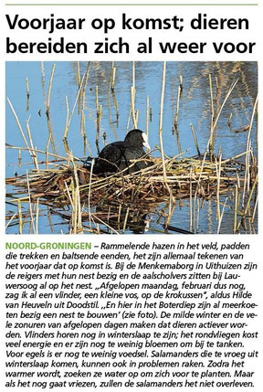 Ommelander Courant 03-03-2022