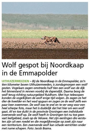 Ommelander Courant 27-03-2025