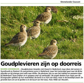 Ommelander Courant 04-08-2021