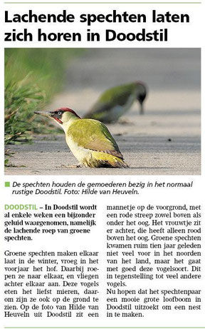 Ommelander Courant 03-04-2025