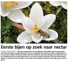 Ommelander Courant 07-03-2024