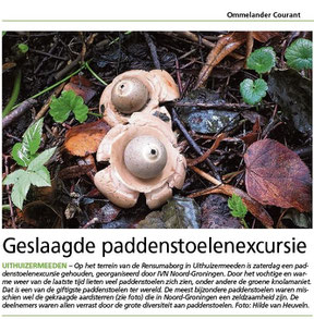 Ommelander Courant 17-10-2022