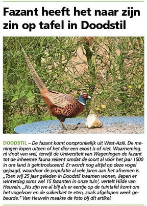 Ommelander Courant 19-12-2024
