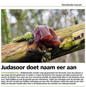 Ommelander Courant 06-01-2022