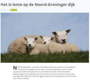 Ommelander Courant 06-04-2023