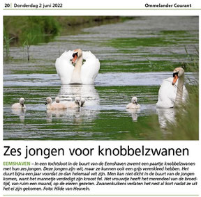 Ommelander Courant 02-06-2022