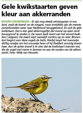 Ommelander Courant 20-04-2023