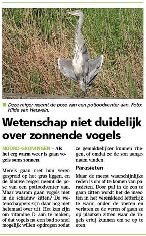 Ommelander Courant 03-07-2025