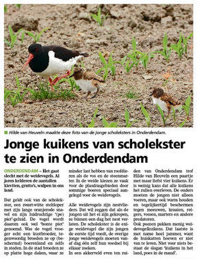 Ommelander Courant 28-05-2025