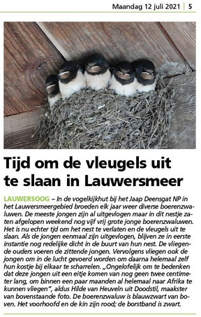 Ommelander Courant 12-07-2021