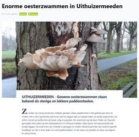 Ommelander Courant 02-01-2025