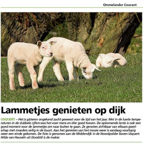 Ommelander Courant 17-03-2022